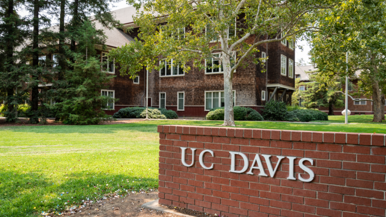 UC Davis College Awards 2023 | University Honors Program